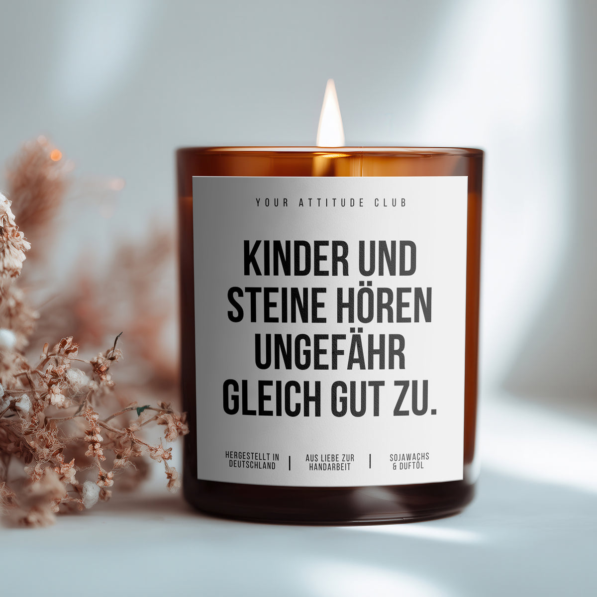 Children and rocks listen about equally well | 300ml Scented Candle with Humor & 2 Wicks